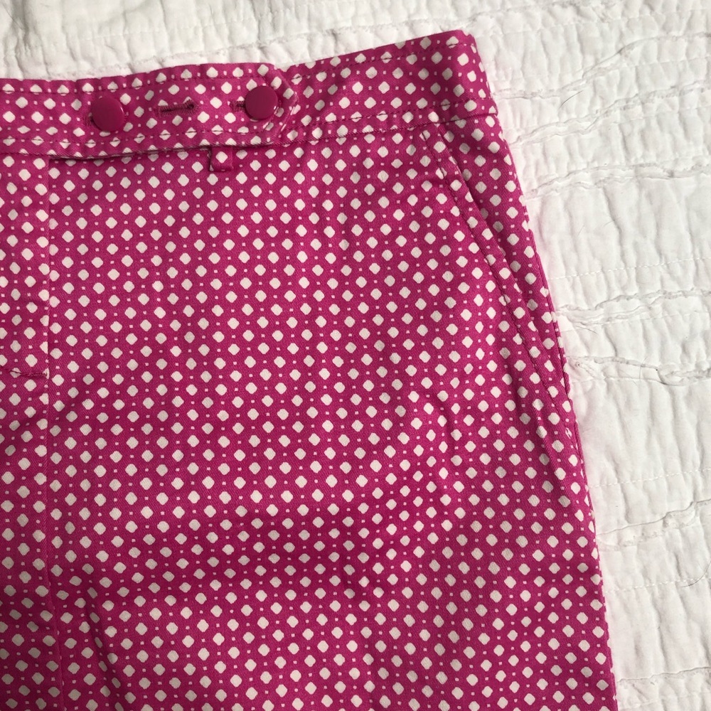 J. Crew Skirt